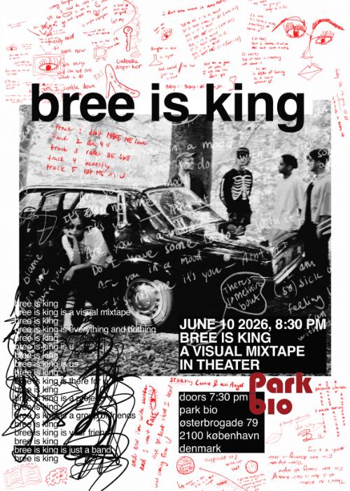 bree is king a visual mixtape